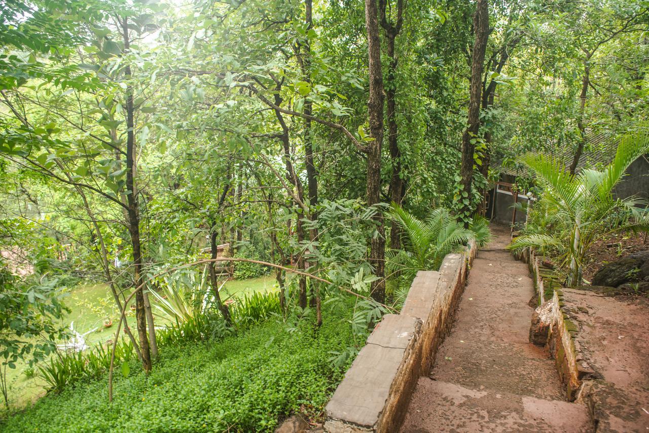 Sterling Nature Trails Dabhosa , Jawahar Birjpara Εξωτερικό φωτογραφία