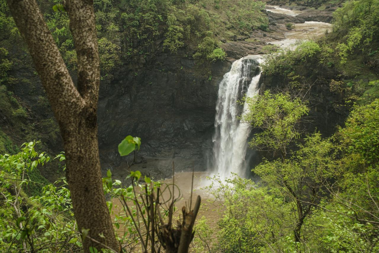 Sterling Nature Trails Dabhosa , Jawahar Birjpara Εξωτερικό φωτογραφία