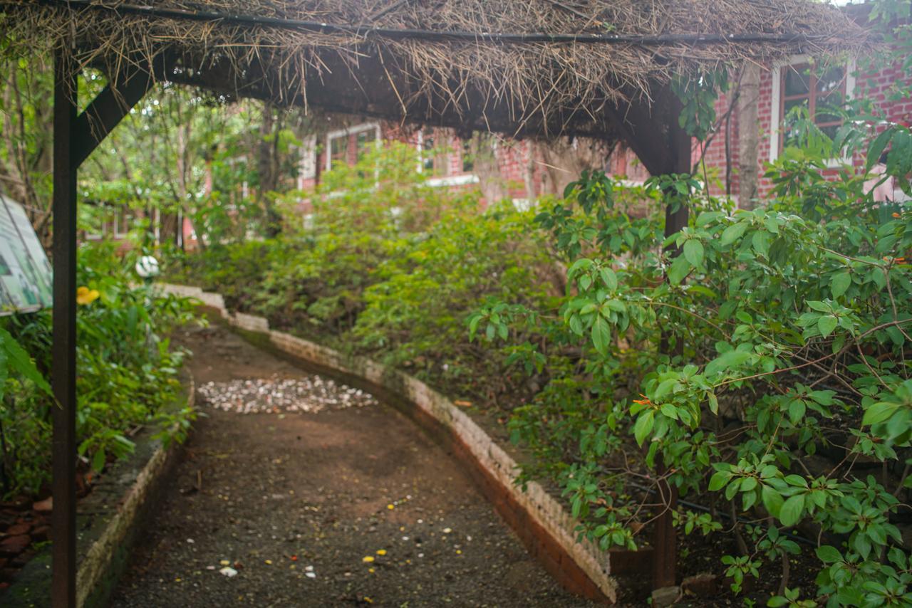 Sterling Nature Trails Dabhosa , Jawahar Birjpara Εξωτερικό φωτογραφία